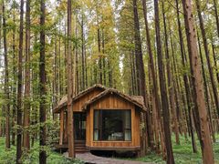 -黄海国家森林公园