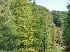 -云溪植物园