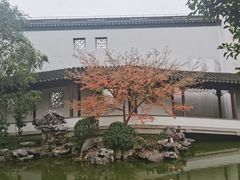 -秋霞圃
