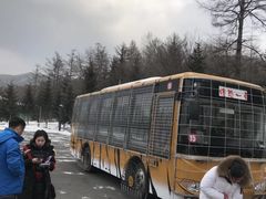 -横道河子东北虎林园