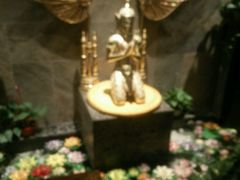 -泰和宫养生会馆(长江路店)