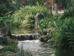 -东莞植物园