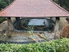 -天目湖涵田半山温泉