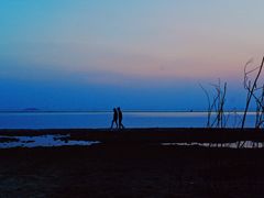 -合肥滨湖国家森林公园