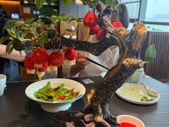 -唐猫庭院·千年陕菜(赛格国际购物中心店)