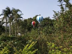 -南沙蒲洲花园