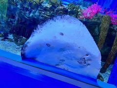 -上海海昌海洋公园