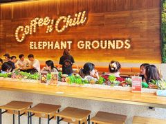 -大象园 ELEPHANT GROUNDS(广州太古汇店)