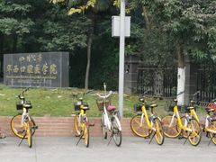 -四川大学(华西校区)