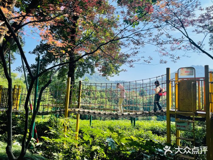 杭州少年儿童公园图片