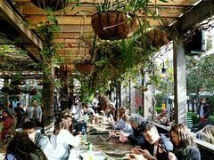 -The Grounds of Alexandria