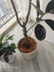-HEYAN荷妍专业脱毛连锁机构