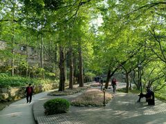 -庐山风景区花径公园