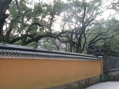 -普陀山风景名胜区-法雨禅寺