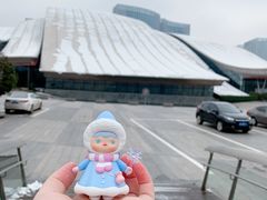 -合肥大剧院