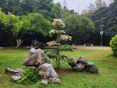 -菊花台公园