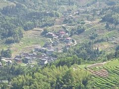 -紫鹊界梯田景区