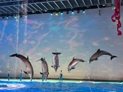 -上海海昌海洋公园