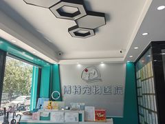 -博特宠物医院24h犬猫全科.骨科·异宠