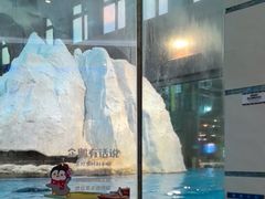 -帝企鹅自助餐厅•儿童岛•真企鹅(长隆企鹅酒店)