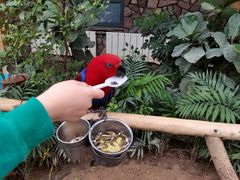 -南宫五洲植物乐园