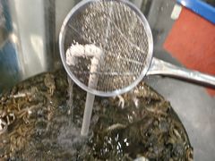 -仙螺岛海鲜自助餐厅(总店)
