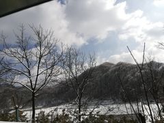 -秦岭风景区