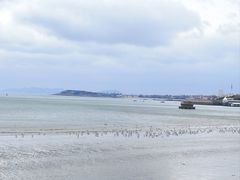 -青岛石老人海水浴场