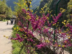 -沣峪森林公园龙潭戏水景区