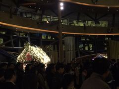 -上海滴水湖皇冠假日酒店