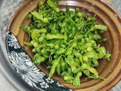 -鸢飞潍坊菜馆(鸢飞大酒店)