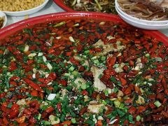 来凤鱼-东吴霸王兔(松青路店)