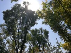 -迎泽公园