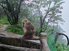 -峨眉山风景名胜区