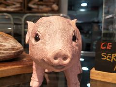 -WHEN PIGS FLY当猪飞