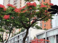 -珠江新城海滨花园