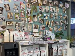 -爱妮康宠物医院·干细胞免疫细胞·肿瘤·心脏(张江店)