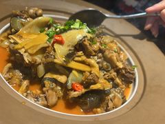 -洞庭家宴·头牌甲鱼(广渠门店)