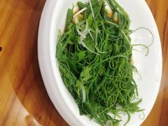 -巴依老爷新疆美食(望京小街店)