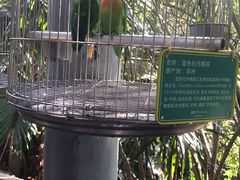 -东部华侨城