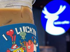 -瑞幸咖啡(深圳北高铁站内部店-A14检票口二楼)