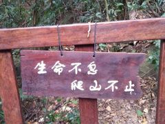 -七仙岭温泉国家森林公园