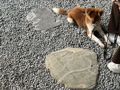 -J Create城市露营咖啡·简餐·宠物(上海动物园店)