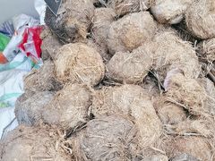 -大象粑粑造纸公园