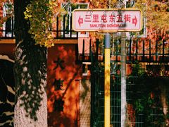 -三里屯东五街银杏大道