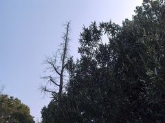 -苏州太湖湖滨国家湿地公园