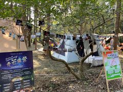 -南宁良凤江国家森林公园