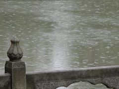 -盆景园(扬州大运河文化旅游度假区)
