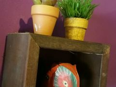 -ventus spa 沙巴亚庇正宗精油按摩会所