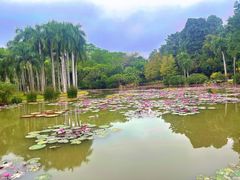 -中国科学院西双版纳热带植物园